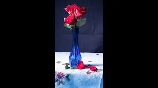 Flower and Glass Vase