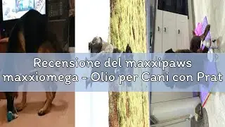 Recensione del maxxipaws maxxiomega - Olio per Cani con Pratico Erogatore &ndash; Pelle Sana e Pelo Lucido