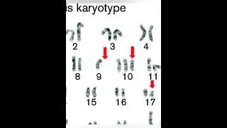 Cytogenetic introduction