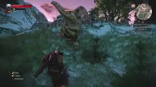 Witcher 3 | Bear School Gear Part 5 + Gargoyle Encounters | Skellige Exploration