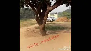 Arif Anwar hashmi MLA utraula 293 Samajwadi party Balrampur