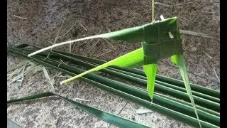 The Fish using a Coconut Leaf! By Kris Martin
