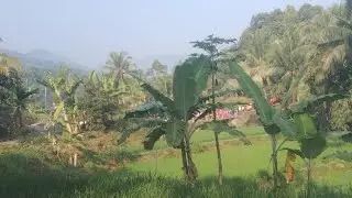 My Village Under Heavy Rain - Relaxing Audio to Calm the Soul