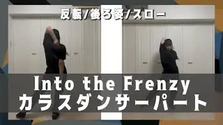 【反転スロー】Into the Frenzyカラスダンサーパート【練習用】
