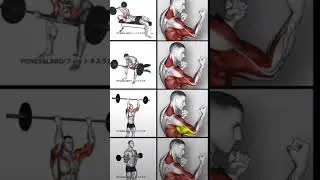 Big biceps workout 3d animation with dumbells