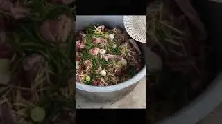 Special foods manangements best qualaity of foods