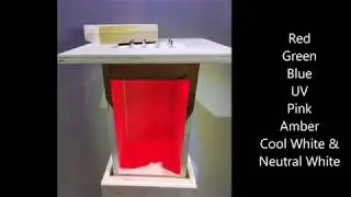pedestal