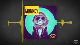 Chris Lie - Monkey (Funkin Matt remix) #ResirkulertLyd (Audiovideo)