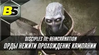 Disciples III: Reincarnation Hordes of the Undead maximum difficulty passing campaign #7
