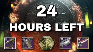 DON'T MISS OUT On Loot, Rewards, and these God Rolls! | Destiny 2 Loot Warning