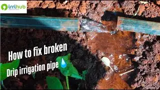 How to fix broken drip irrigation line using drip connectors