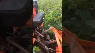 #RT185 #MiniTractor | Farming #LiveDemo | #Cultivation & #Rotavator #fieldWork #omagroindia #omagro