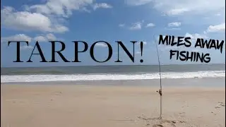TARPON FISHING VILANO JETTIES  ||  SURF FISHING SAINT AUGUSTINE