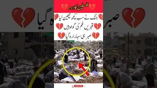 Graves everywhere, graves everywhere, bodies everywhere, bodies in Palestine#familyvlog #