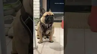 ждем тебя в телеге 128ch вещает