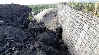 Inspecting late November Lava in NW of Lava Field, January 18th, 2022