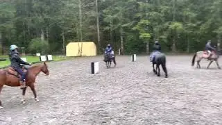Hero. Horsearchery Horse Training Clinic. 2023. Canter