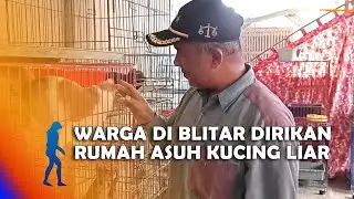 BLITAR - Warga Di Blitar Dirikan Rumah Asuh Kucing Liar