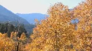 Parks Monitor Noise to Protect Nature, Environment