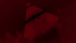 nt x void noize - information requested