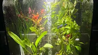 &ldquo;Daily vlog 22&rdquo;! #love #reptiles #cat #pets #cuteanimal #2026 
