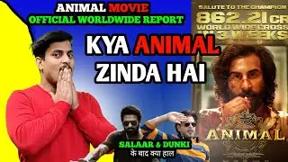 Animal Day 21 Official Worldwide Box Office Collection | Animal Total Box Office Collection #Animal