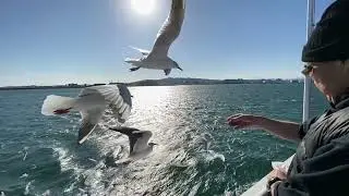 Shimizu Marine Park (Shizuoka / Japan) travel- 日本 - 観光