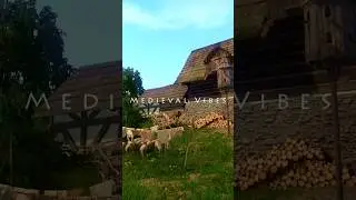Music of the Flock | Kingdom&rsquo;s Medieval Morning #villagelife #ambience