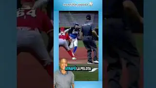 Amazing play! #baseball #homerunchallenge #mlb #baseball #mlblb #soccer #cubans #humor #ball