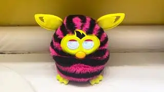 My Third Straight Stripes Furby Boom Jolly To Feisty