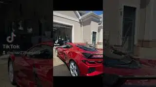 #fyp #fypシ #fyptiktok #vettelife #203 #connecticut #westhavanbeach #guilford #guilfordct
