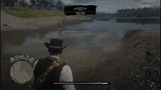 RDR2 Van Horn thief