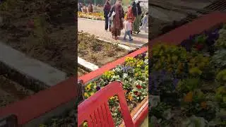 A Day at Gulab Udyan Pradarshini, Bhopal 🌸 | Rose Festival Vlog 2026