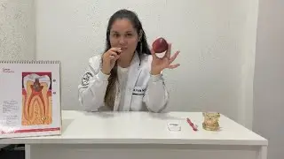 ¿Las frutas limpian los dientes? Mito o verdad 🦷🍎 (inspirado en Outlander)