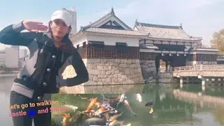 take a walk🚶‍♀️around the  Castle 🏰 and Shrine