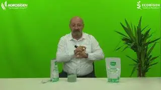 ÇİMLER İÇİN GRANÜL GENEL BAKIM BİTKİ BESİNİ