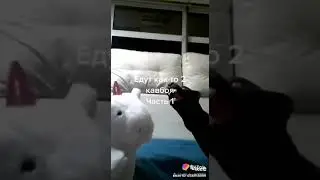 Пантерес и Единорогус