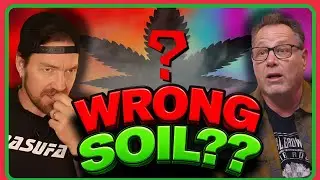 Home Growers Need to Know About This BEFORE They Pick Their Grow Media