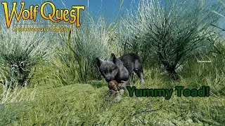 Wolfquest AE - Saga: 8th Year Litter Troubles