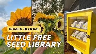 Our Winter Project: The Rumer Blooms Little Free Seed Library