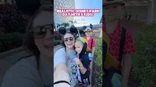 Realistic Disney Park Day with 5 kids.
