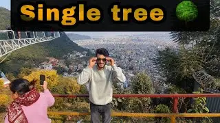 Best Viewpoints  Near Swayambhu//single tree