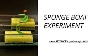 Sponge Boat Craft & Experiment-How to make sponge boat Experiment. Easy craft &  experiment for KIDS
