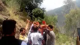 Kotgarh Nati