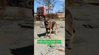 ЛУЧШИЙ перк в Fallout 4 &mdash; это...
