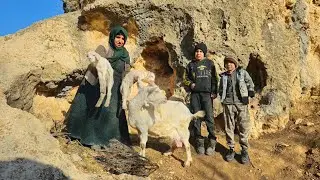 🥶 Бездомная мать искала убежище в горах... но обнаружила нечто странное!