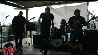 Animal Kaos