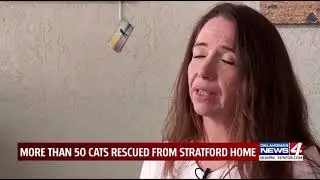 Animal Hoarding: Cats Near Death 06-08-2021