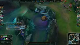 Super Patient Neeko set up