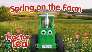 Let's Explore The Farm In Spring With Tractor Ted 🐑🌼🚜